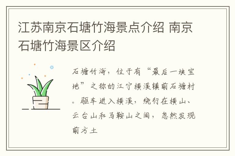 江苏南京石塘竹海景点介绍 南京石塘竹海景区介绍