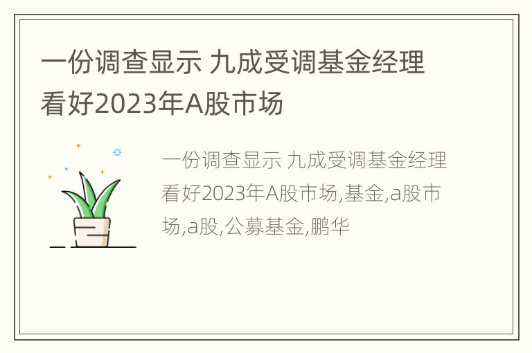 一份调查显示 九成受调基金经理看好2023年A股市场