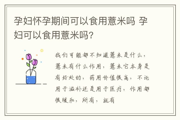 孕妇怀孕期间可以食用薏米吗 孕妇可以食用薏米吗?