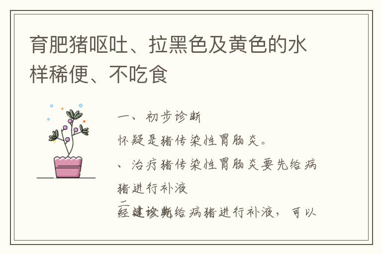 育肥猪呕吐、拉黑色及黄色的水样稀便、不吃食