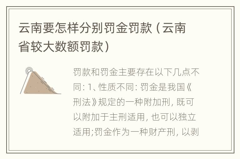 云南要怎样分别罚金罚款（云南省较大数额罚款）