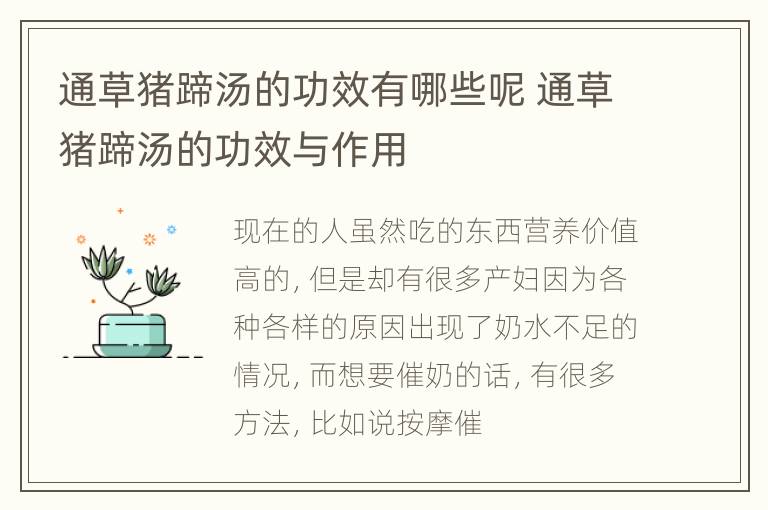 通草猪蹄汤的功效有哪些呢 通草猪蹄汤的功效与作用