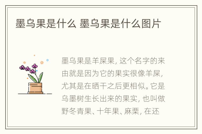 墨乌果是什么 墨乌果是什么图片