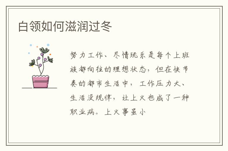 白领如何滋润过冬