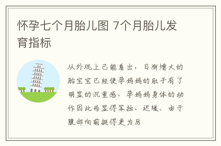怀孕七个月胎儿图 7个月胎儿发育指标