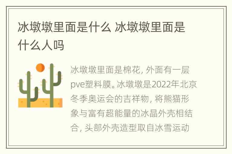 冰墩墩里面是什么 冰墩墩里面是什么人吗