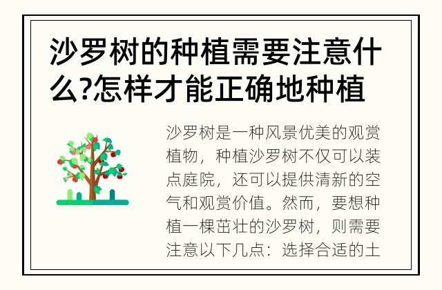 沙罗树的种植需要注意什么? 怎样才能正确地种植沙罗树?