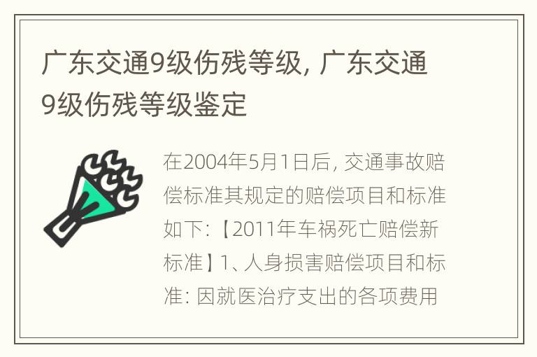 广东交通9级伤残等级，广东交通9级伤残等级鉴定