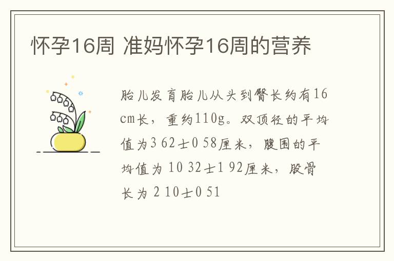 怀孕16周 准妈怀孕16周的营养