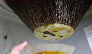 油垢快速清洗小妙招 油垢清洗方法