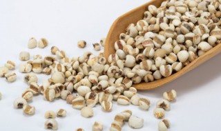 红豆薏米怎么样泡水 红豆薏米泡水的方法