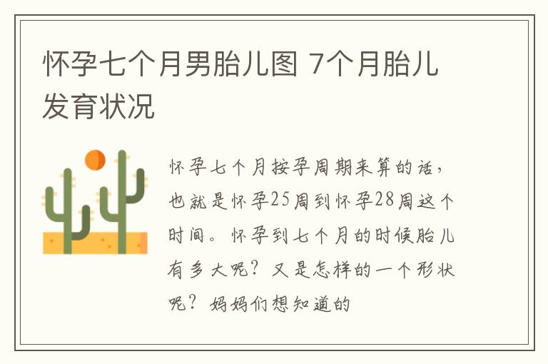 怀孕七个月男胎儿图 7个月胎儿发育状况