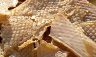 牛胶的功效与作用及食用方法 牛胶的功效是什么