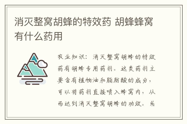 消灭整窝胡蜂的特效药 胡蜂蜂窝有什么药用