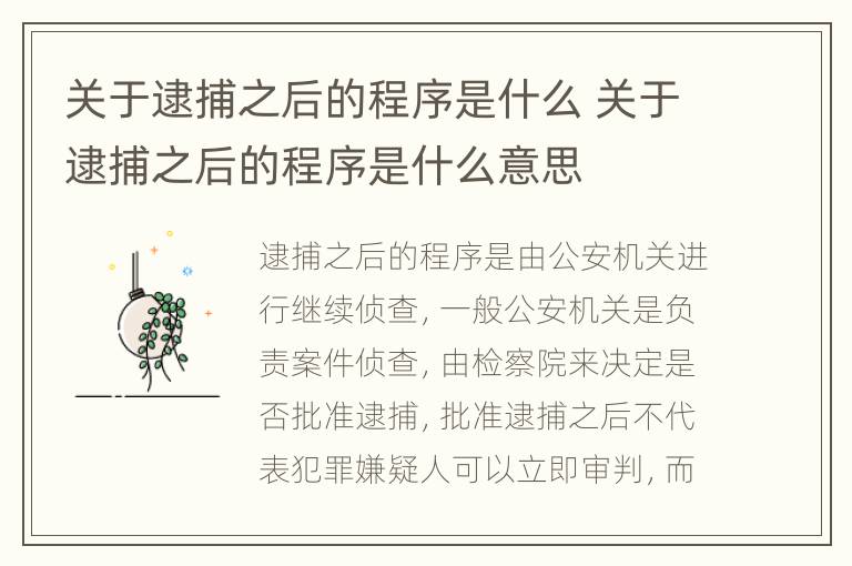 关于逮捕之后的程序是什么 关于逮捕之后的程序是什么意思