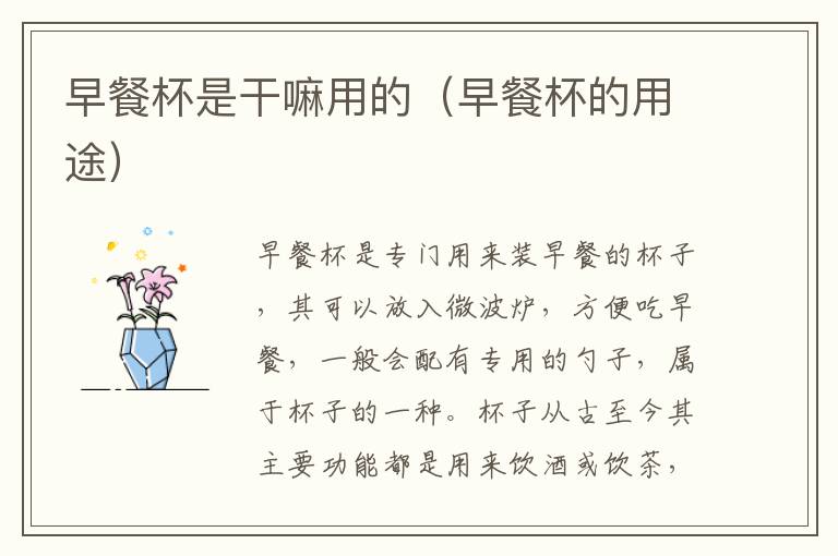 早餐杯是干嘛用的（早餐杯的用途）