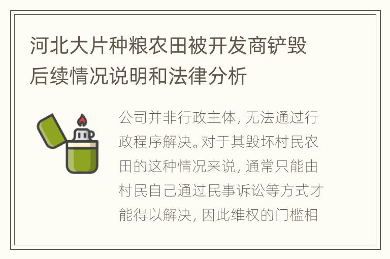 河北大片种粮农田被开发商铲毁后续情况说明和法律分析