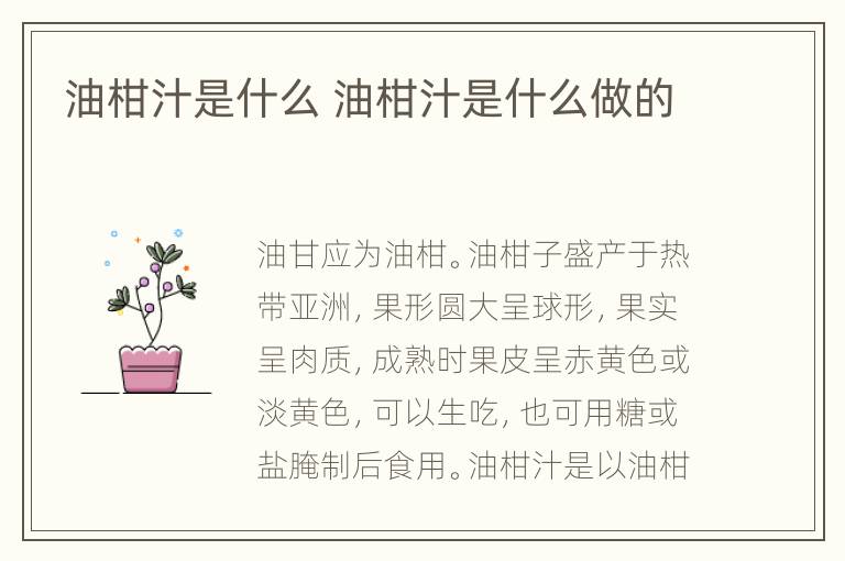 油柑汁是什么 油柑汁是什么做的