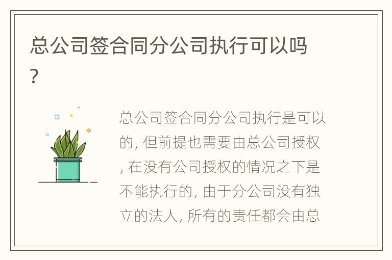 总公司签合同分公司执行可以吗？