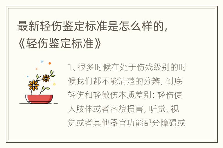 最新轻伤鉴定标准是怎么样的，《轻伤鉴定标准》