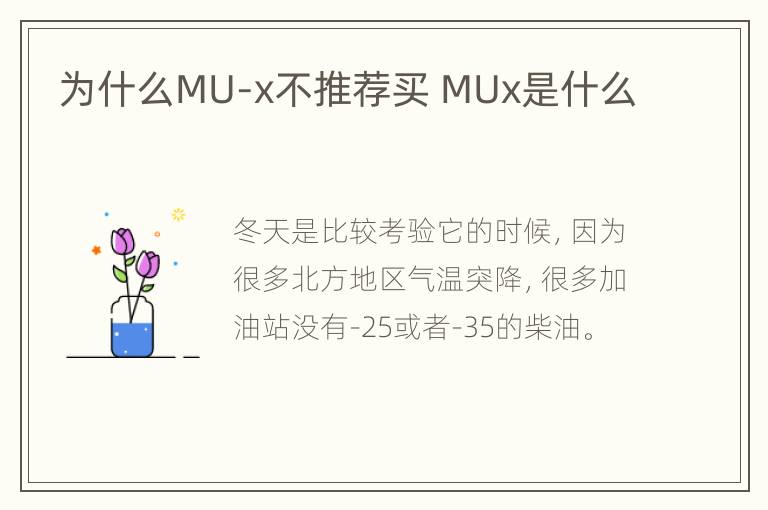 为什么MU-x不推荐买 MUx是什么