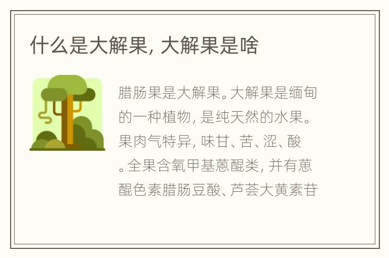 什么是大解果，大解果是啥