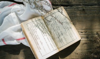 小学生作文300字 300字小学生作文
