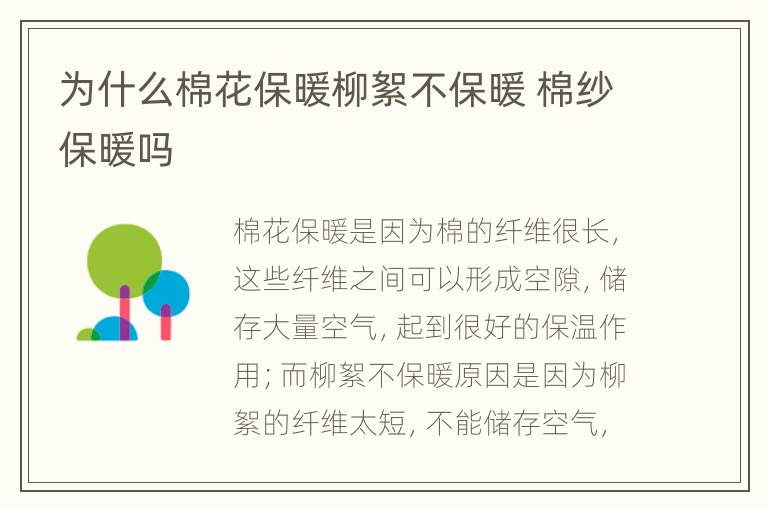 为什么棉花保暖柳絮不保暖 棉纱保暖吗