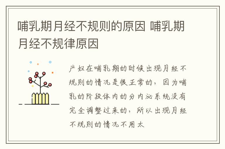 哺乳期月经不规则的原因 哺乳期月经不规律原因