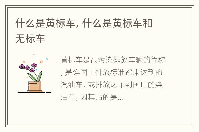 什么是黄标车，什么是黄标车和无标车