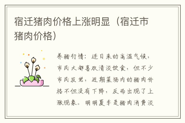 宿迁猪肉价格上涨明显（宿迁市猪肉价格）