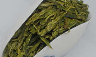 高山绿茶禁忌 高山绿茶有何禁忌