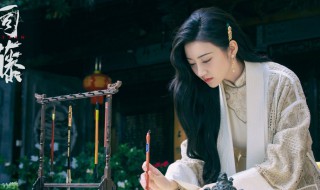 司藤里老赵怎么死的 司藤电视剧简介