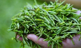 炒茶如何保存方法 炒茶的保存技巧