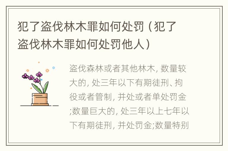 犯了盗伐林木罪如何处罚（犯了盗伐林木罪如何处罚他人）