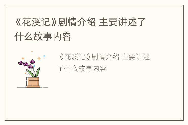 《花溪记》剧情介绍 主要讲述了什么故事内容