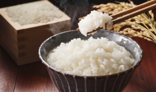 微波炉蒸米饭的方法窍门 微波炉煮米饭方法