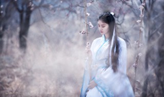 雾是怎么消失的 雾消失的原因