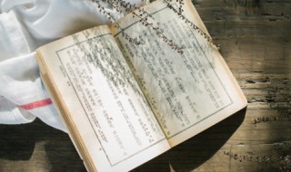 休戚与共的故事 休戚与共的主人公是谁