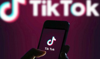 tiktok是什么应用 tiktok介绍