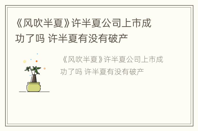 《风吹半夏》许半夏公司上市成功了吗 许半夏有没有破产