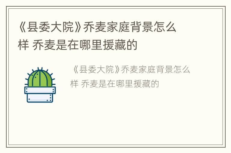 《县委大院》乔麦家庭背景怎么样 乔麦是在哪里援藏的