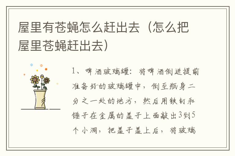 屋里有苍蝇怎么赶出去（怎么把屋里苍蝇赶出去）