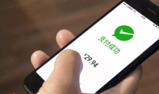 微信支付分开通后怎么开花呗 微信支付分开通后如何开花呗