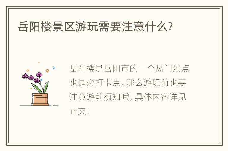 岳阳楼景区游玩需要注意什么？