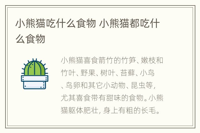 小熊猫吃什么食物 小熊猫都吃什么食物