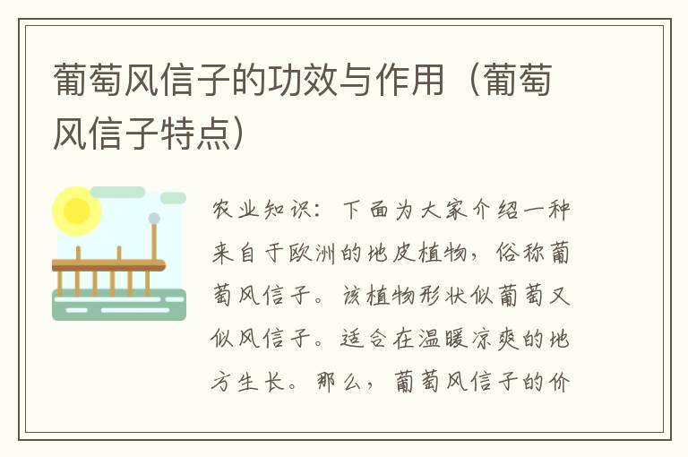 葡萄风信子的功效与作用（葡萄风信子特点）