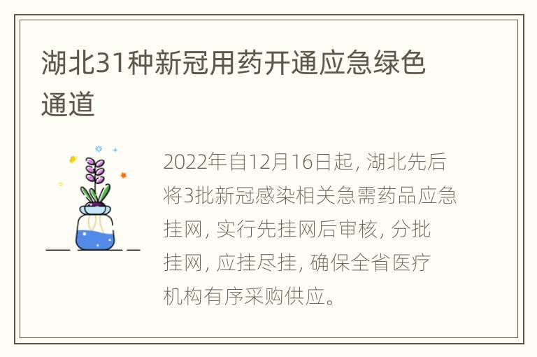 湖北31种新冠用药开通应急绿色通道