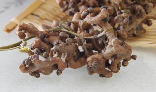 拐枣几月份成熟 拐枣成熟期是几月