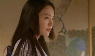 丰臣完子资料简介 丰臣完子个人资料